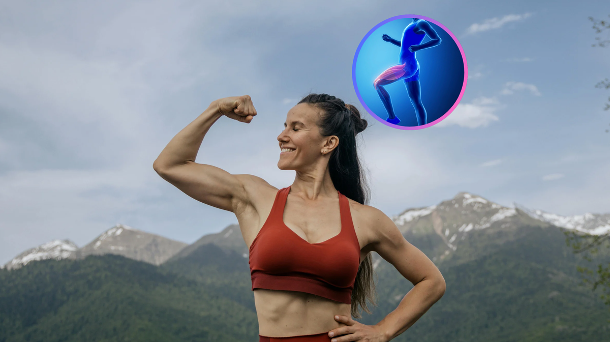 Qual è Il Muscolo Più Forte Del Corpo Umano