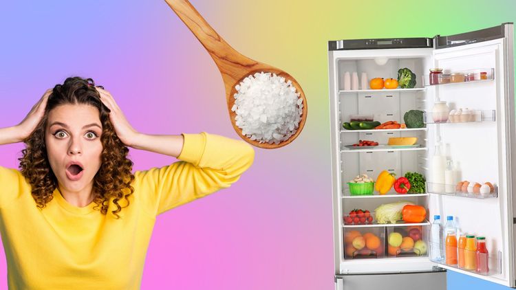 Perché mettere il sale nel frigorifero?