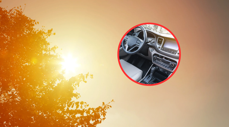Rinfrescare l'auto rapidamente: Il trucco geniale di una scienziata conquista TikTok