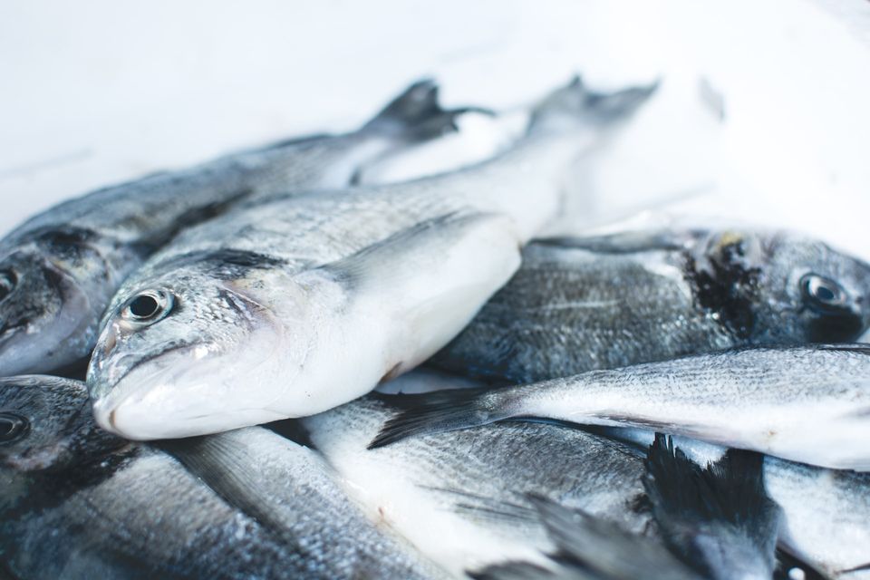 Ecco i 5 pesci che non si devono mangiare