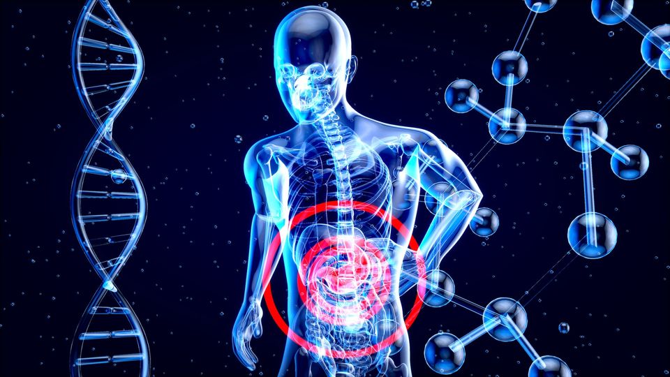 Fegato : ecco i 6 peggiori alimenti da evitare